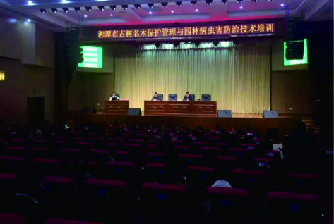 名木古樹保護,搶救復壯,遷移,古樹資源普查